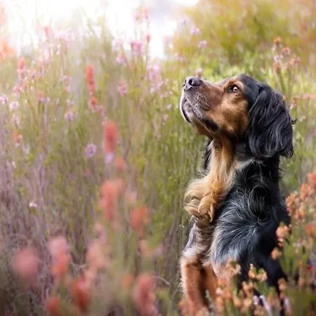 Σπίτι διακοπών Comfortable With Garden, 3 Bedrooms