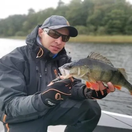 Comfortable With Garden, 3 Bedrooms * Choczewo