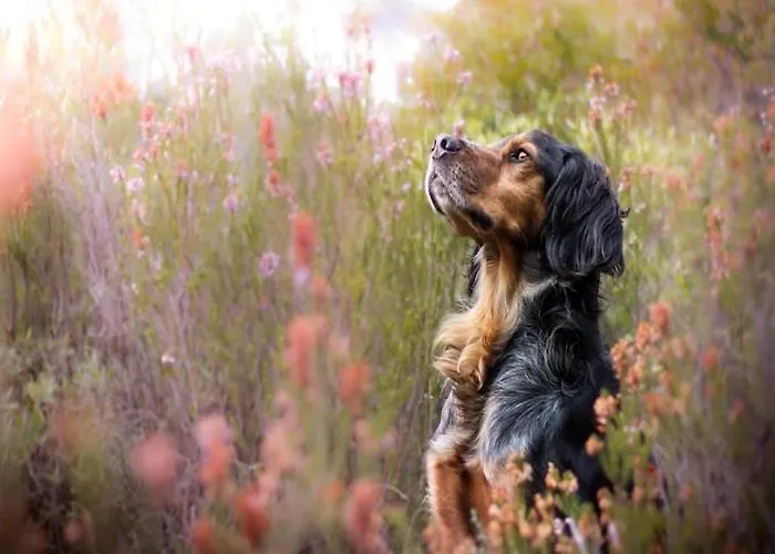 Σπίτι διακοπών Comfortable With Garden, 3 Bedrooms