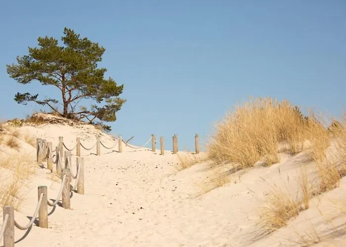 Comfortable With Garden, 3 Bedrooms Σπίτι διακοπών